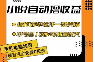 （11359期）小说全自动撸收益，操作简单，单号日入100+可批量放大