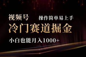 （11378期）2024视频号冷门赛道掘金，操作简单轻松上手，小白也能月入1000+