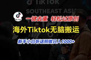 （11487期）海外Tiktok短视频无脑搬运，一键去重轻松过原创，新手小白听话照做日入…