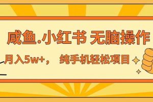 （11524期）2024最赚钱的项目，咸鱼，小红书无脑操作，每单利润500+，轻松月入5万+…