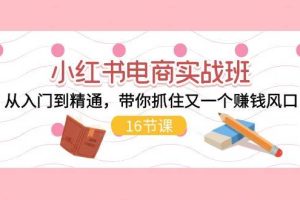 （11533期）小红书电商实战班，从入门到精通，带你抓住又一个赚钱风口（16节）