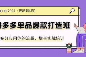 （11556期）2024拼多多-单品爆款打造班(更新6月)，充分应用你的流量，增长实战培训