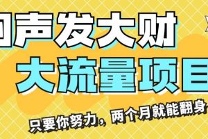 （11688期）闷声发大财，大流量项目，月收益过3万，只要你努力，两个月就能翻身