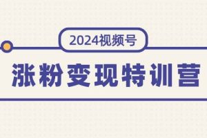 （11779期）2024视频号-涨粉变现特训营：一站式打造稳定视频号涨粉变现模式（10节）