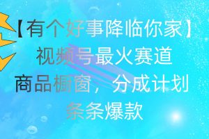 有个好事 降临你家：视频号最火赛道，商品橱窗，分成计划 条条爆款，每…