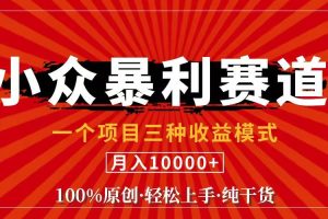 （11695期）视频号【中老年粉深信不疑】小众赛道 100%原创 手把手教学 新号3天收益…