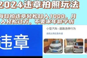 2024违章拍照新玩法，推广躺赚+拍照赚钱双模式，日入1000+