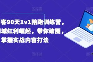 实体获客90天1v1陪跑训练营，实体同城红利崛起，带你破圈，掌握实战内容打法