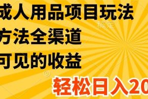 最新成人用品项目玩法，方式方法全渠道，肉眼可见的收益，轻松日入2000+