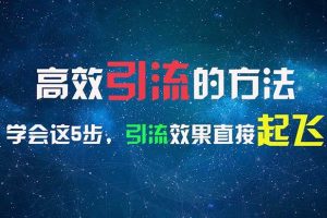 （11776期）高效引流的方法，可以帮助你日引300+创业粉，一年轻松收入30万，比打工强