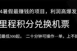 2024暑假最暴利的项目，目前做的人很少，一单利润300+，二十多分钟可操…