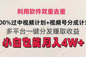 （11862期）利用软件双重去重，100%过中视频+视频号分成计划小白也可以月入4W+