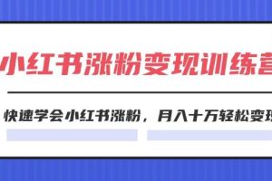 2024小红书19天涨粉变现特训营，快速学会小红书涨粉，月入十万轻松变现（42节）