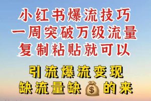 小红书爆流技巧，一周突破万级流量，复制粘贴就可以，引流爆流变现【揭秘】