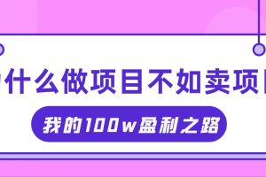 （11893期）抓住互联网创业红利期，我通过卖项目轻松赚取100W+