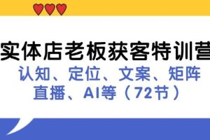 （11991期）实体店老板获客特训营：认知、定位、文案、矩阵、直播、AI等（72节）