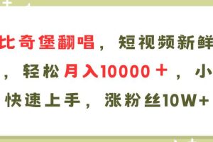 （11941期）AI比奇堡翻唱歌曲，短视频新鲜赛道，轻松月入10000＋，小白快速上手，…