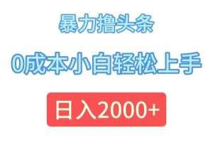 （12068期）暴力撸头条，0成本小白轻松上手，日入2000+