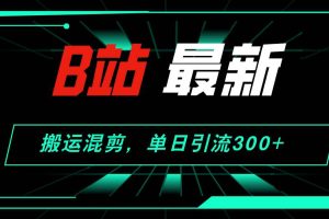 （12085期）B站最新，搬运混剪，单日引流300+创业粉