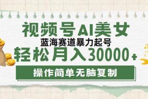 （12087期）视频号AI美女跳舞，轻松月入30000+，蓝海赛道，流量池巨大，起号猛，无…