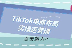 （12156期）TikTok电商布局实操运营课：从新手到精通，成为TikTok带货运营高手