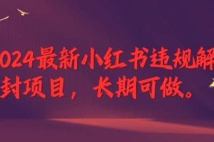 2024最新小红书违规解封项目，长期可做，一个可以做到退休的项目【揭秘】