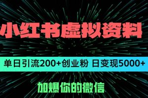 （12164期）小红书虚拟资料日引流200+创业粉，单日变现5000+