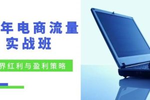 （12168期）24年电商流量实战班：无界 红利与盈利策略，终极提升/关键词优化/精准…