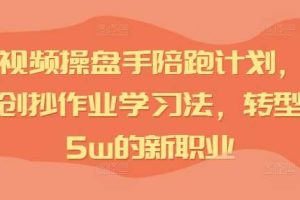 IP短视频操盘手陪跑计划，全平台独创抄作业学习法，转型月入5w的新职业