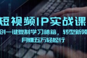 （12193期）短视频 IP实战课，独创一键复制学习秘籍，转战新领域，月赚五万轻松行