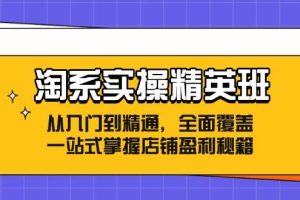 （12276期）淘系实操精英班：从入门到精通，全面覆盖，一站式掌握店铺盈利秘籍