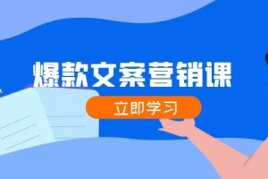 （12290期）爆款文案营销课：公域转私域，涨粉成交一网打尽，各行业人士必备