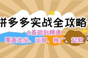 （12292期）拼多多实战全攻略：0基础到精通，覆盖选品、运营、推广、起款