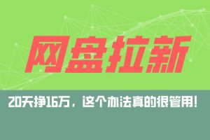 （12294期）网盘拉新+私域运营玩法，零基础入门，小白可操作，当天见效，日入5000+