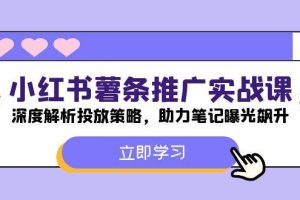 小红书-薯条推广实战课：深度解析投放策略，助力笔记曝光飙升