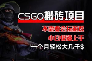 （12332期）CSGO 装备搬砖项目，操作简单，不需要会玩游戏，小白也能快速上手，一…