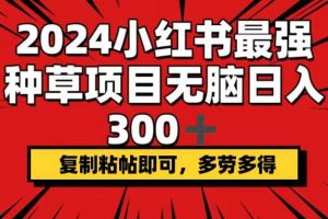 （12336期）2024小红书最强种草项目，无脑日入300+，复制粘帖即可，多劳多得