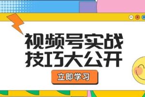 视频号实战技巧大公开：选题拍摄、运营推广、直播带货一站式学习