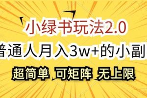 （12374期）小绿书玩法2.0，超简单，普通人月入3w+的小副业，可批量放大