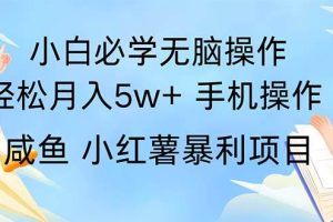 （11953期）2024热门暴利手机操作项目，简单无脑操作，每单利润最少500