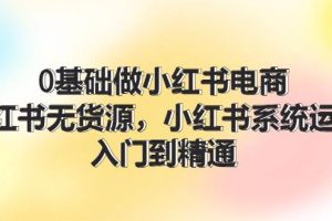 0基础做小红书电商，小红书无货源系统运营，入门到精通 (70节)