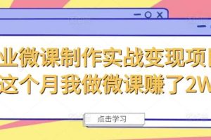 商业微课制作实战变现项目，这个月我做微课赚了2W+