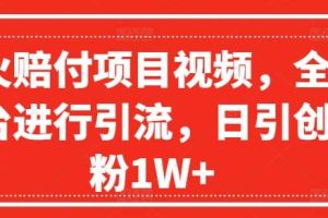 爆火赔付项目视频，全网平台进行引流，日引创业粉1W+【揭秘】