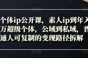 新个体ip公开课，素人ip到年入百万超级个体，公域到私域，普通人可复制的变现路径拆解