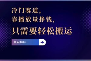 冷门赛道，靠播放量挣钱，只需要轻松搬运，日赚300+