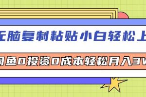 （12432期）无脑复制粘贴，小白轻松上手，电商0投资0成本轻松月入3W+