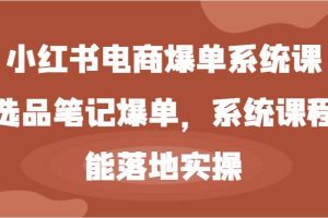 小红书电商爆单系统课-选品笔记爆单，系统课程，能落地实操