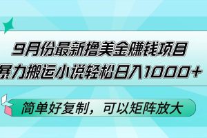 （12487期）9月份最新撸美金赚钱项目，暴力搬运小说轻松日入1000+，简单好复制可以…