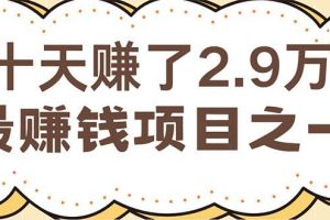 （12491期）闲鱼小红书赚钱项目之一，轻松月入6万+项目