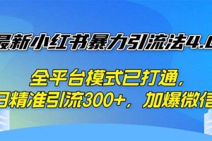 （12505期）最新小红书暴力引流法4.0， 全平台模式已打通，日精准引流300+，加爆微…